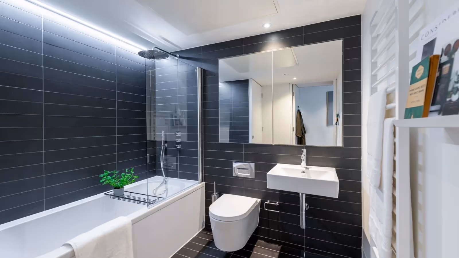 Phoenix apartment bathroom